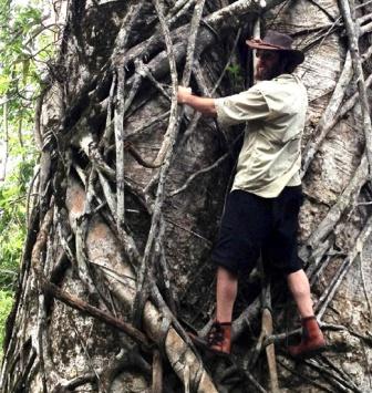 tree climbing moccasins